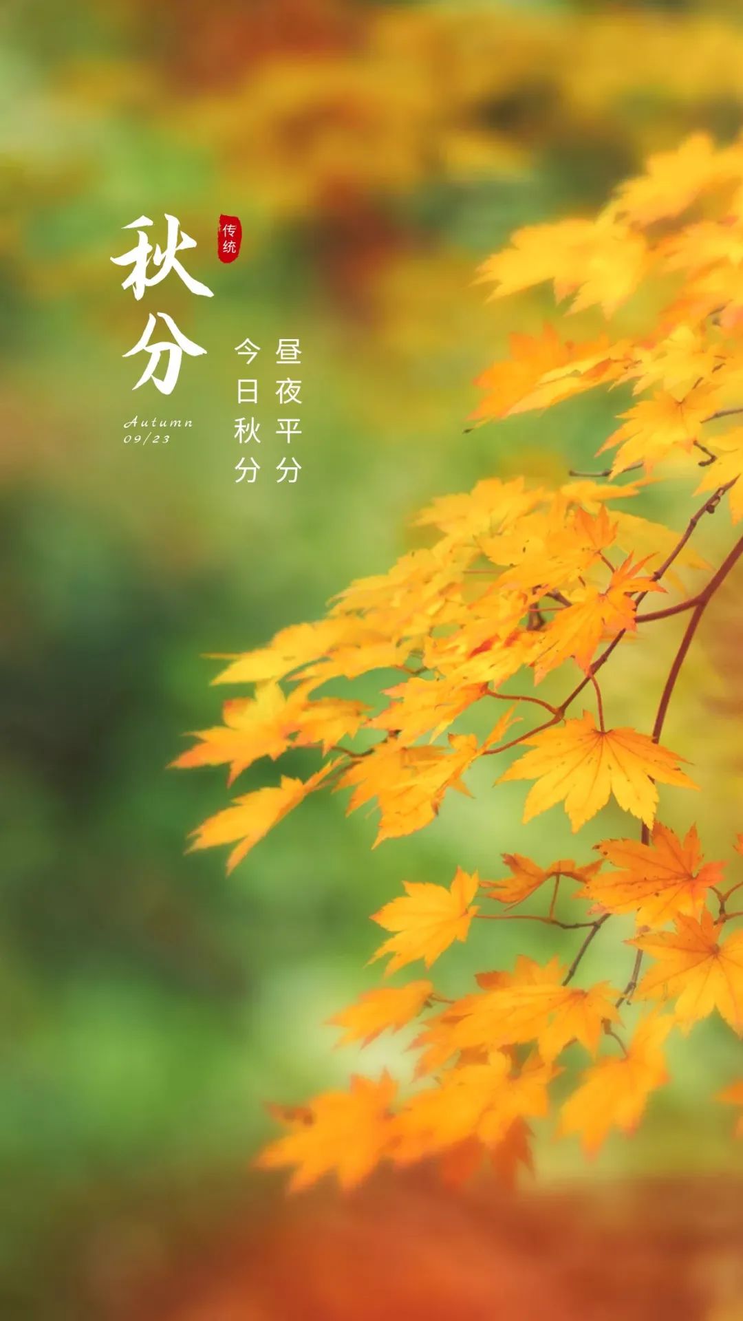 1758638887332592.jpeg f2ccc2f9c052bee030e8ea7e44fff49f.jpeg